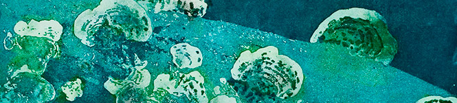 Image rotator