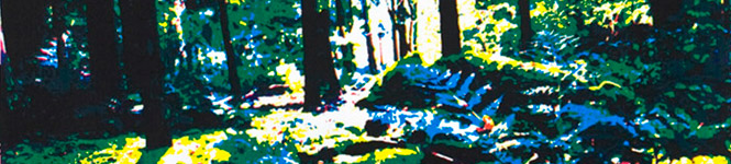 Image rotator Image rotator